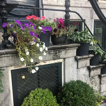 Unique Royal Basement *