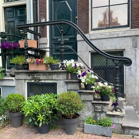 アパート Unique Royal Basement *