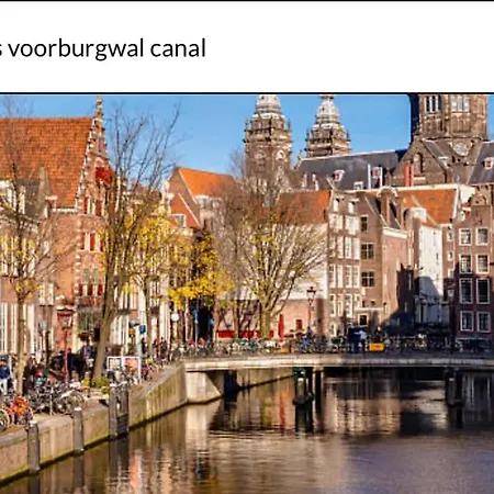 Unique Royal Basement Apartment *