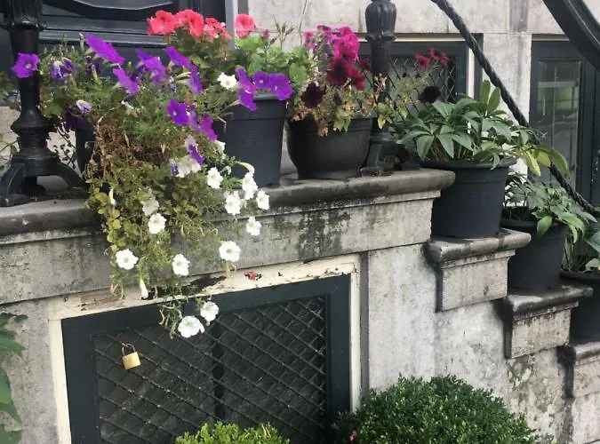 Unique Royal Basement *