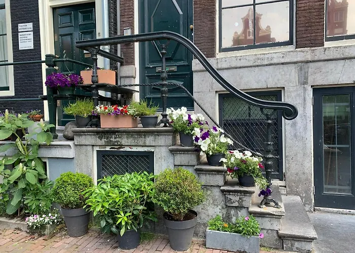 דירה Unique Royal Basement *